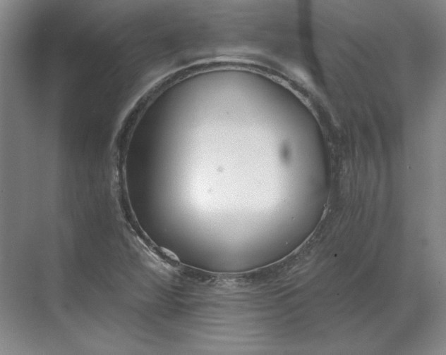 X0000068831360200605191848