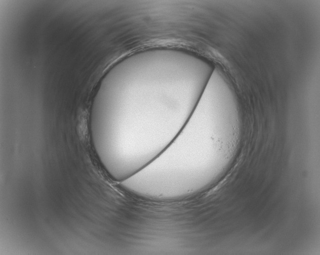 X0000068831361200605191848