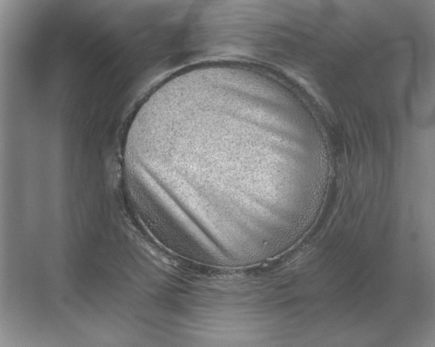 X0000068831363200605191848