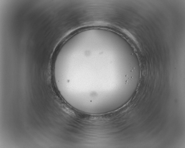 X0000068831364200605191848