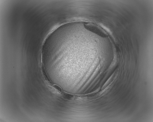 X0000068831365200605191848