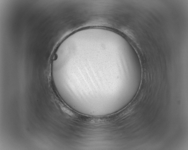 X0000068831366200605191848