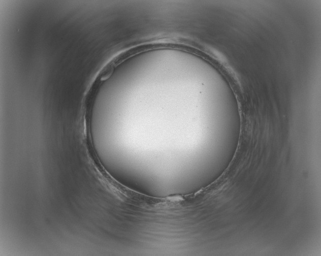 X0000068831368200605191848