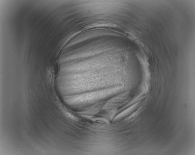 X0000068831369200605191848