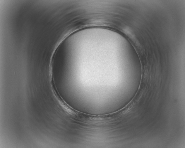 X0000068831370200605191848