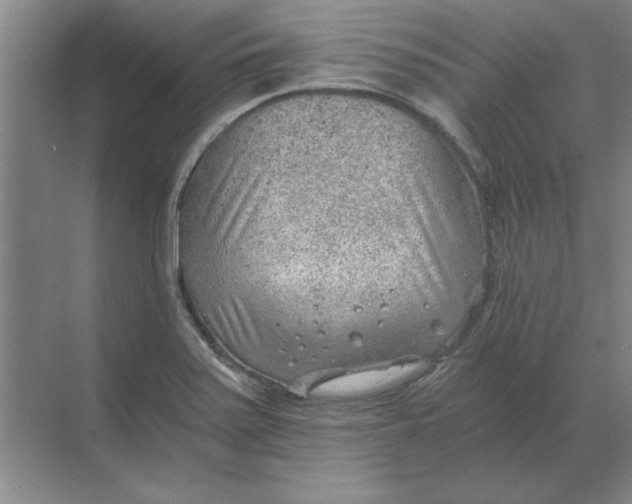 X0000068831371200605191848