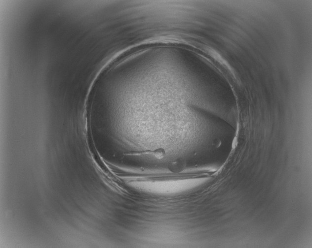 X0000068831372200605191848