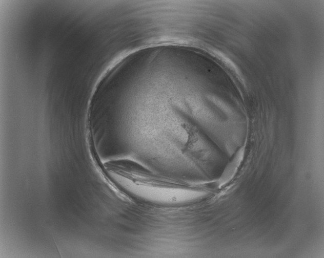 X0000068831373200605191848