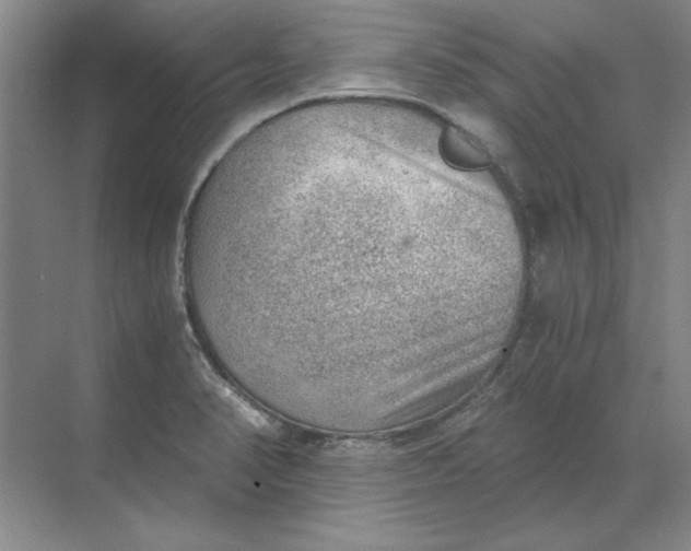 X0000068831374200605191848