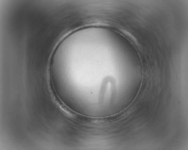 X0000068831375200605191848