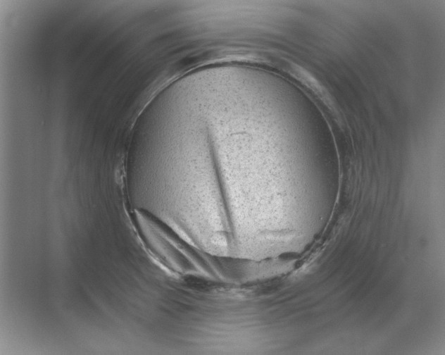 X0000068831377200605191848