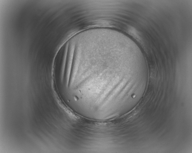 X0000068831378200605191848