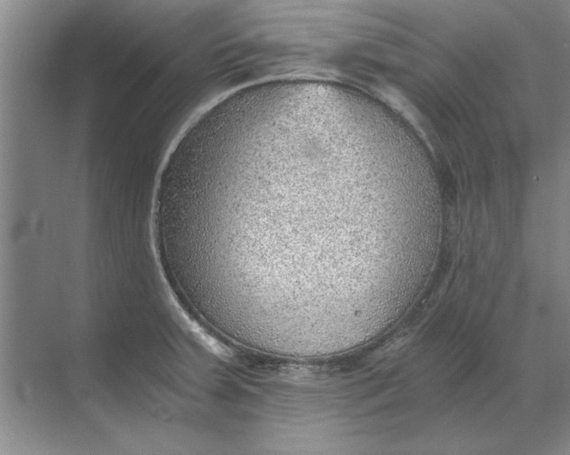 X0000068831379200605191848