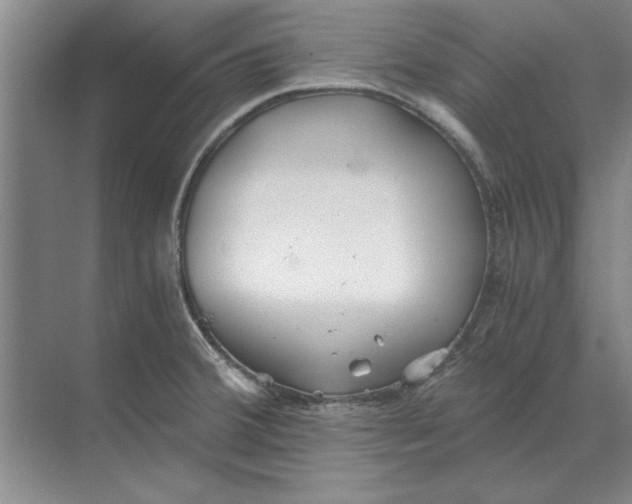 X0000068831380200605191848