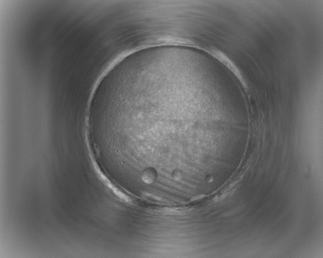 X0000068831381200605191848