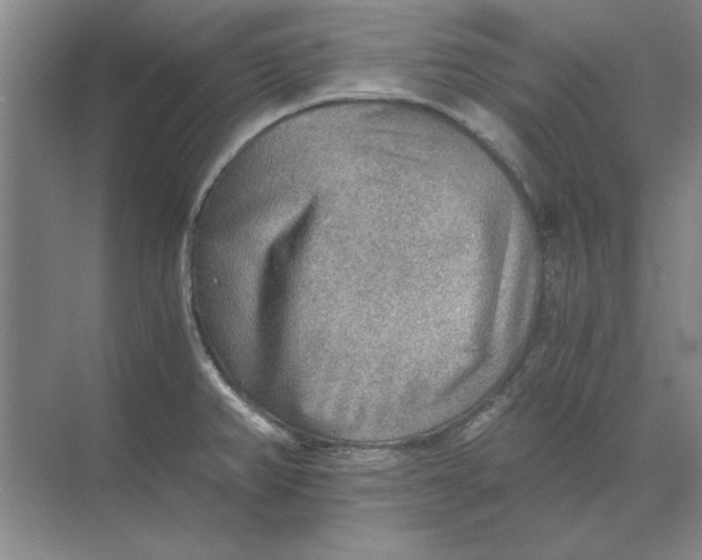 X0000068831382200605191848