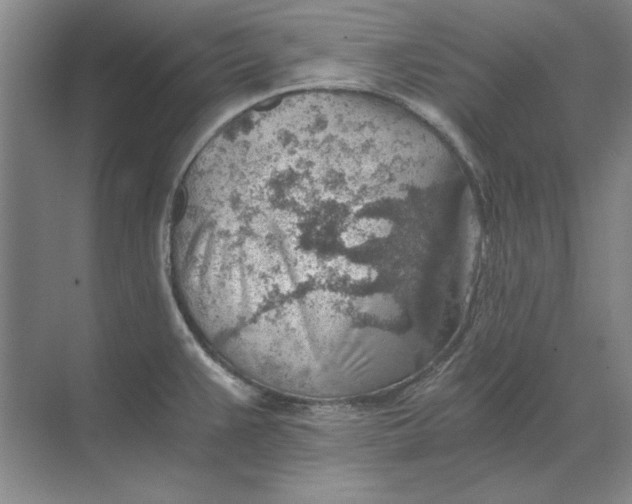 X0000068831383200605191848