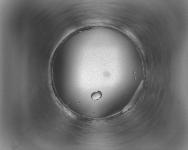 X0000068831384200605191848