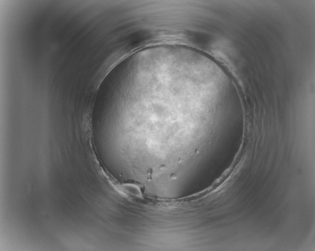 X0000068831385200605191848