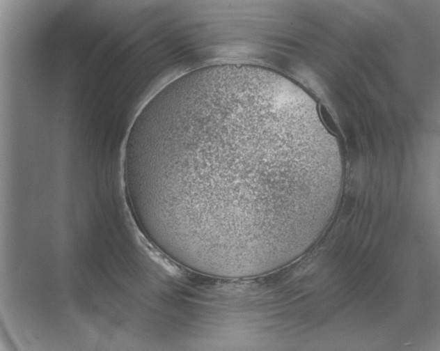 X0000068831386200605191848