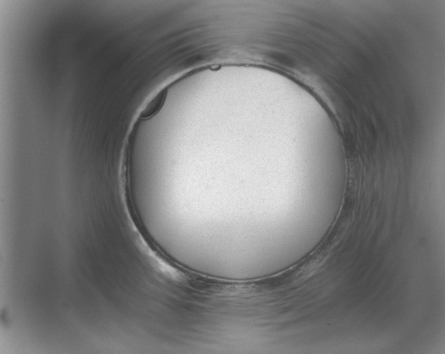 X0000068831387200605191848