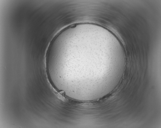 X0000068831388200605191848