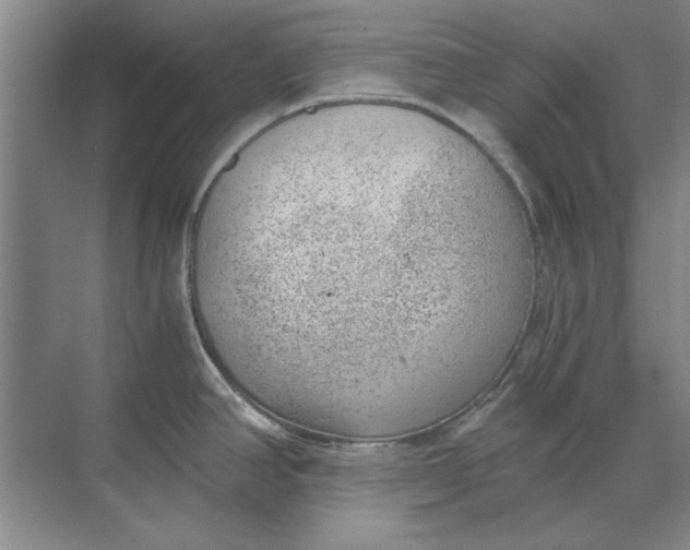 X0000068831390200605191847