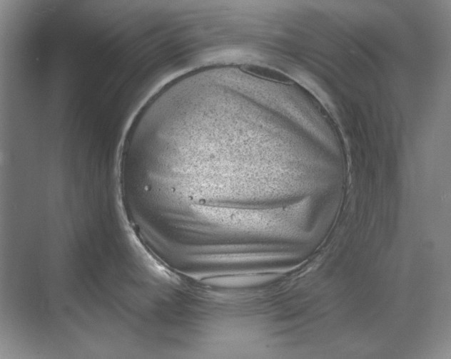 X0000068831392200605191847