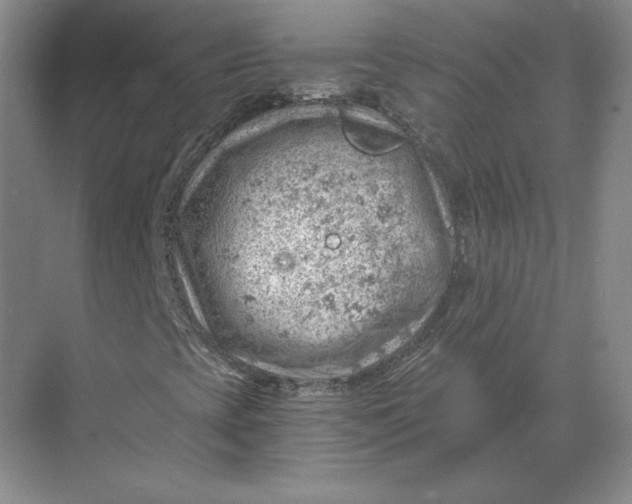 X0000068831393200605191847