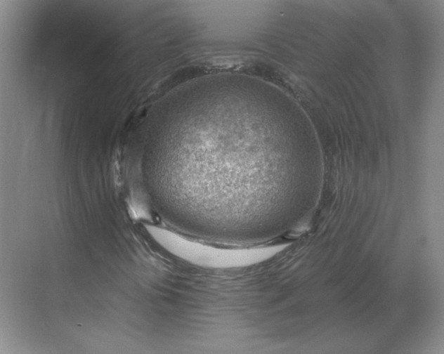 X0000068831394200605191847