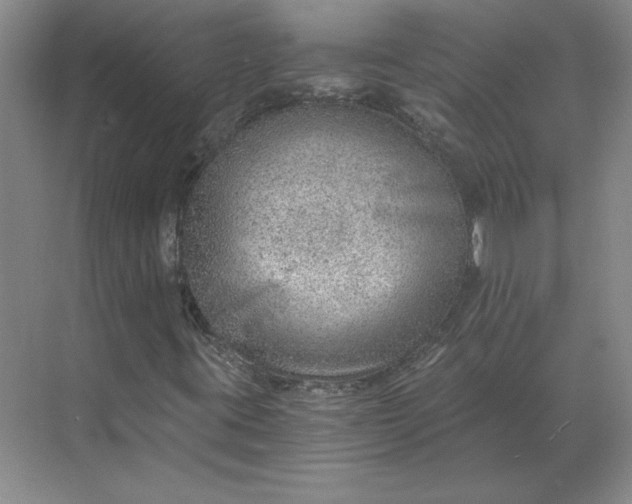 X0000068831395200605191847