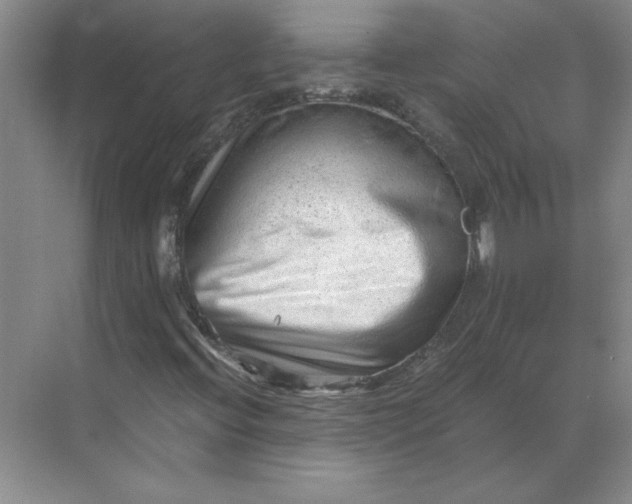 X0000068831396200605191847