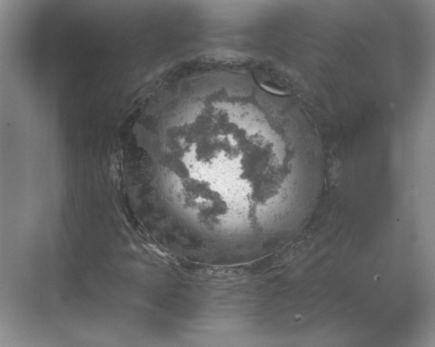 X0000068831397200605191847