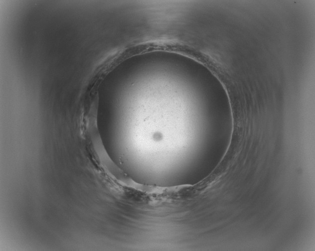 X0000068831398200605191847