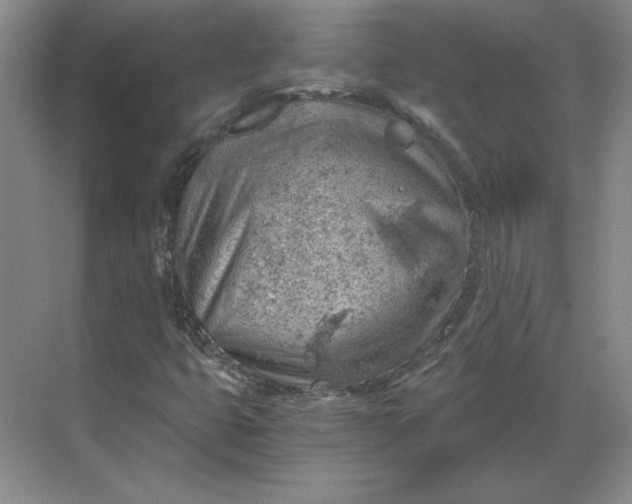 X0000068831399200605191847