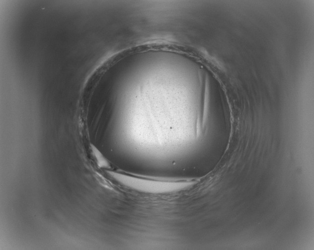 X0000068831400200605191847