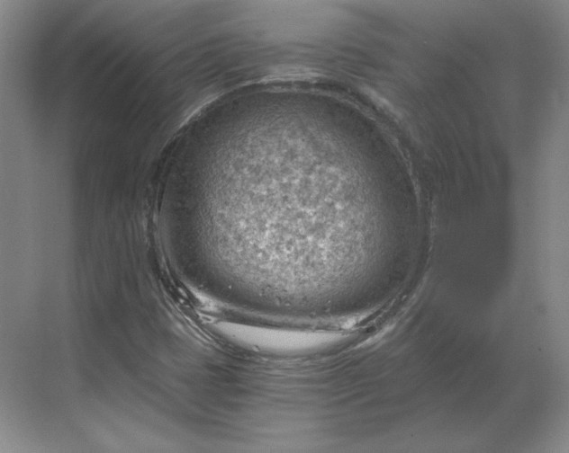 X0000068831401200605191847