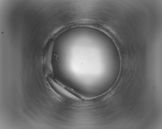 X0000068831402200605191847