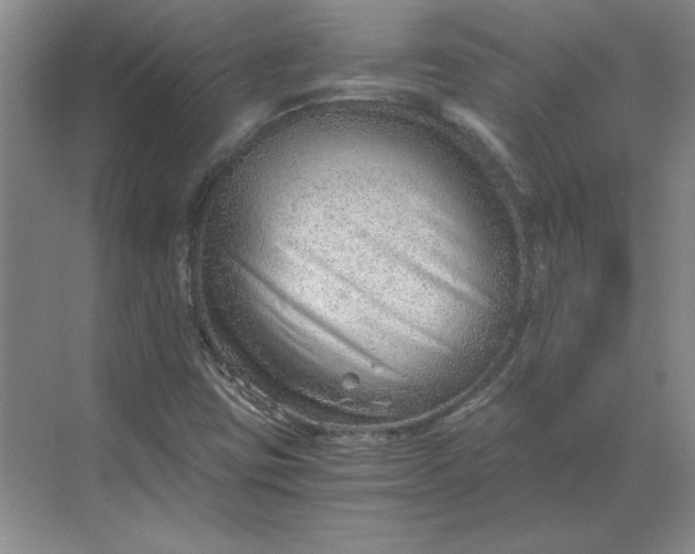 X0000068831403200605191847