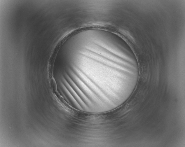 X0000068831404200605191847