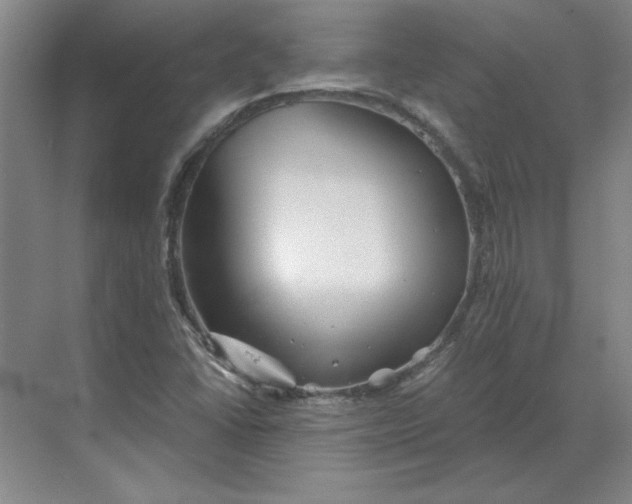 X0000068831406200605191847