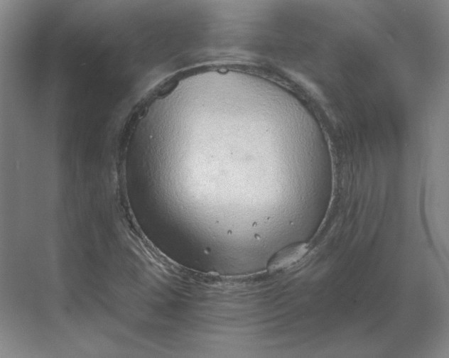 X0000068831407200605191847