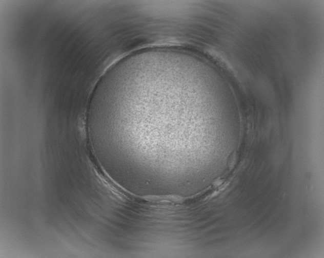 X0000068831409200605191847