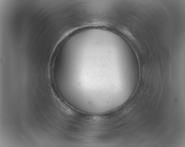 X0000068831412200605191847