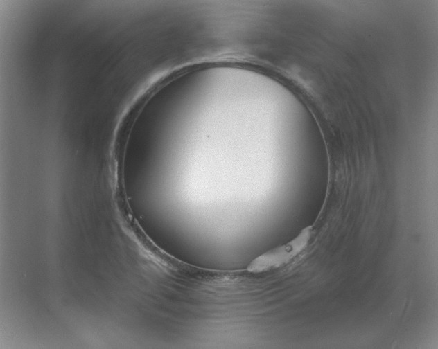 X0000068831414200605191847