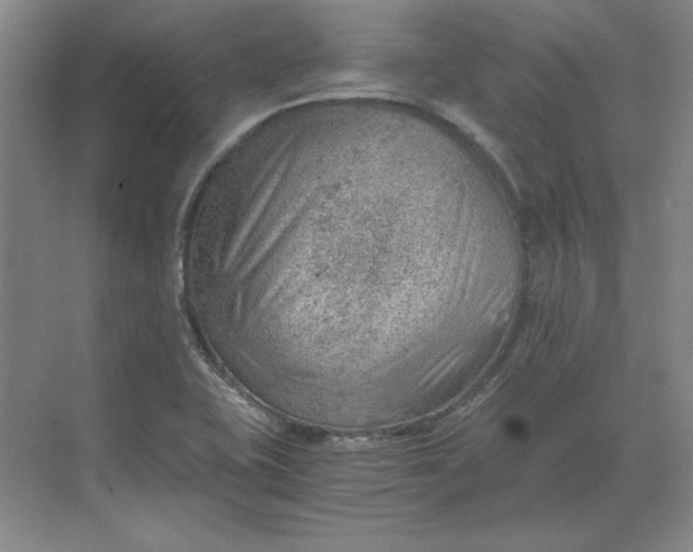 X0000068831415200605191847