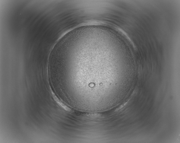 X0000068831417200605191847