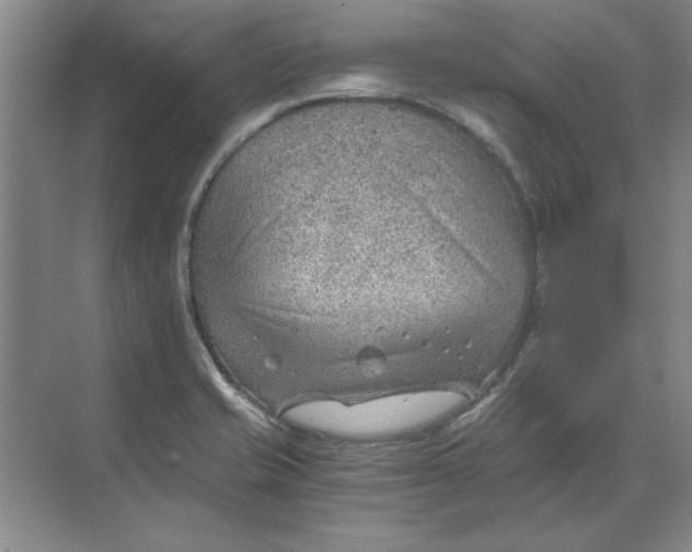 X0000068831421200605191847