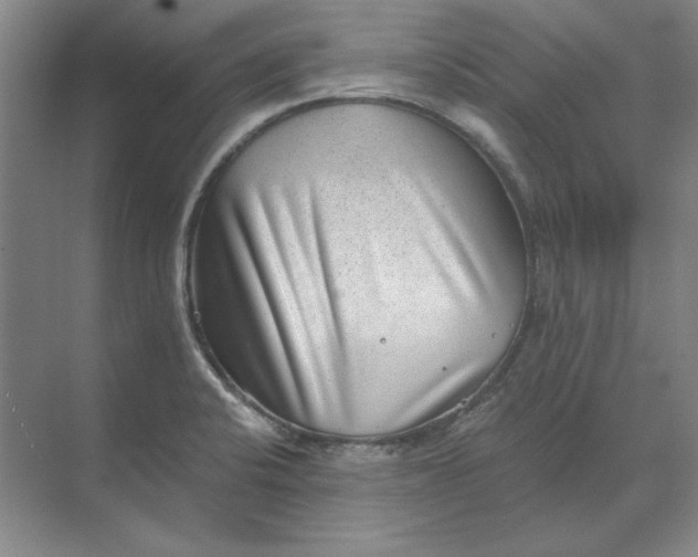 X0000068831424200605191847