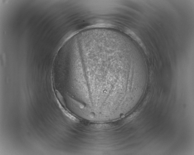 X0000068831425200605191847